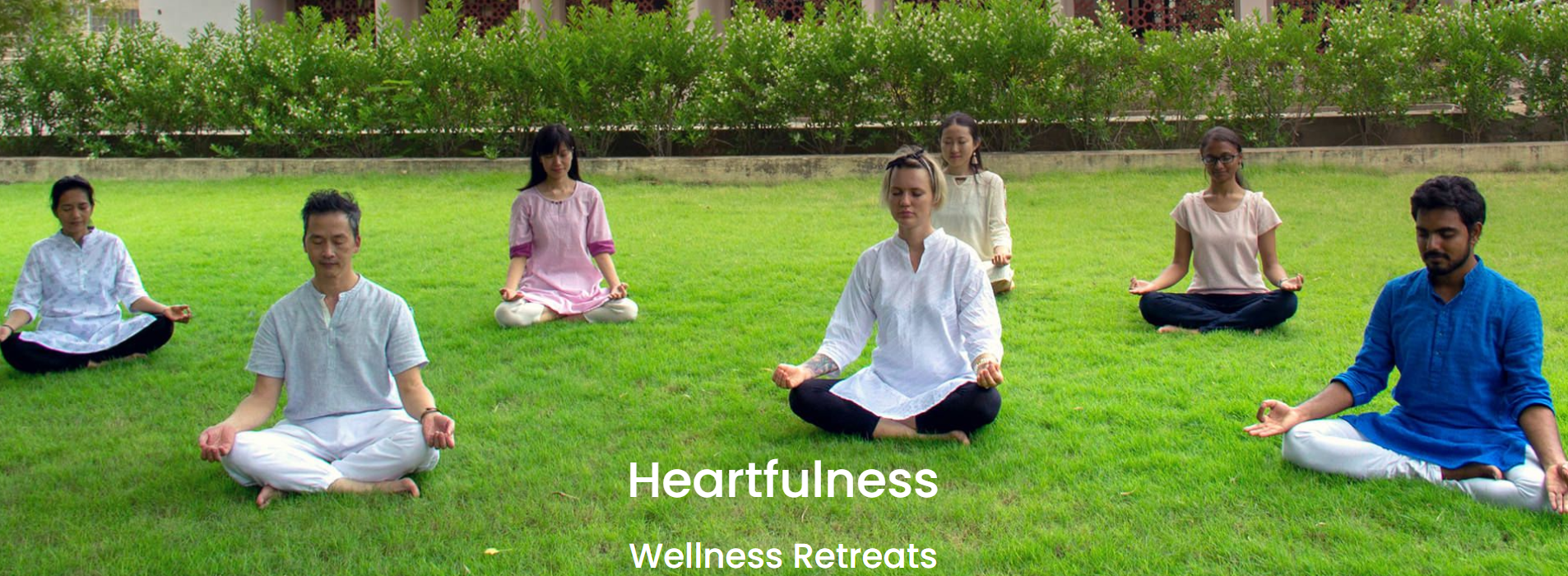 Wellness Retreat